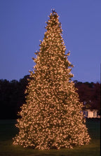30' Pre-Lit Olympia Pine Artificial Giant Commercial Tower Christmas Tree - Warm White LED Lights