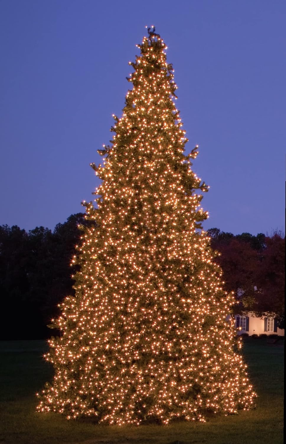 30' Pre-Lit Olympia Pine Artificial Giant Commercial Tower Christmas Tree - Warm White LED Lights